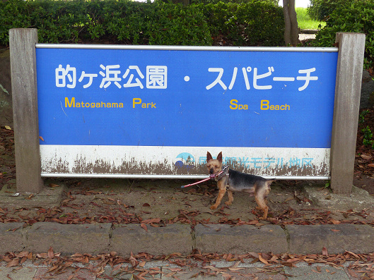 resize131513.jpg