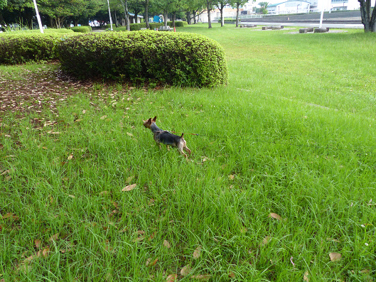 resize131365.jpg