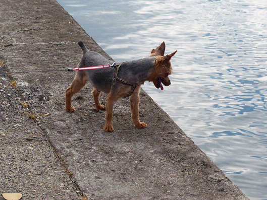 resize131425.jpg