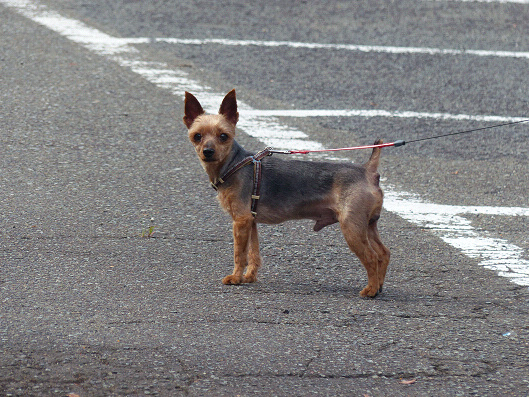resize131312.jpg