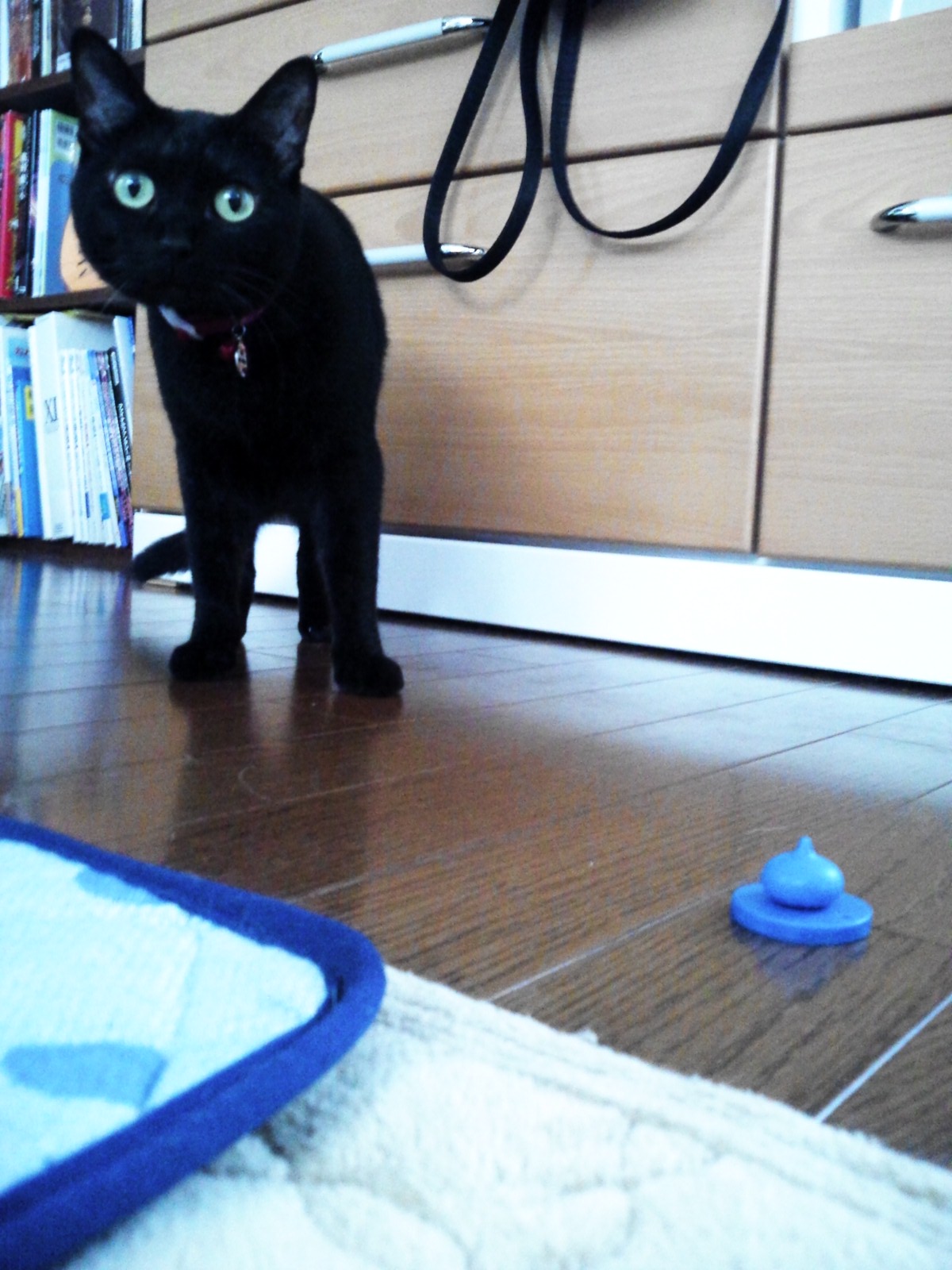 スライムがあらわれたっ！