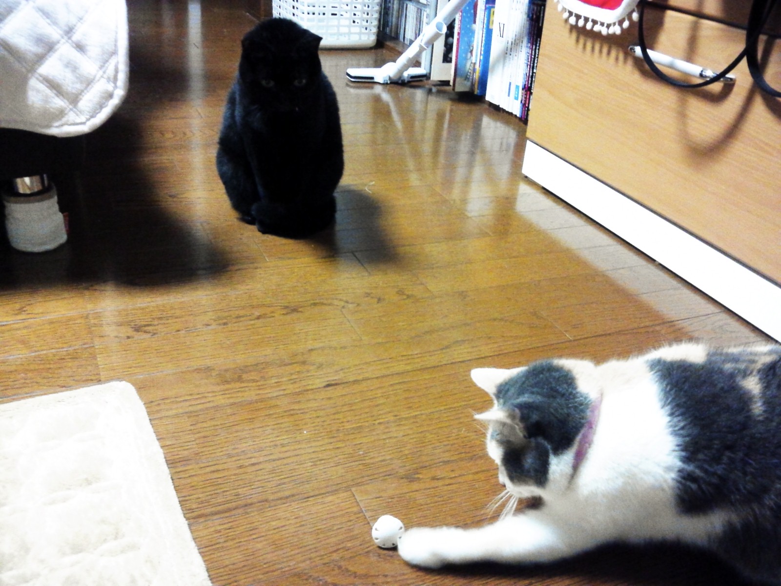 いたぶられるマサル。