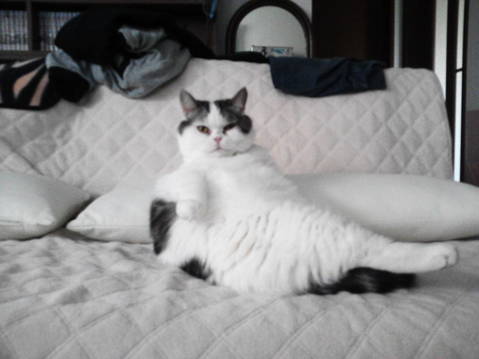 振り返るとそこに