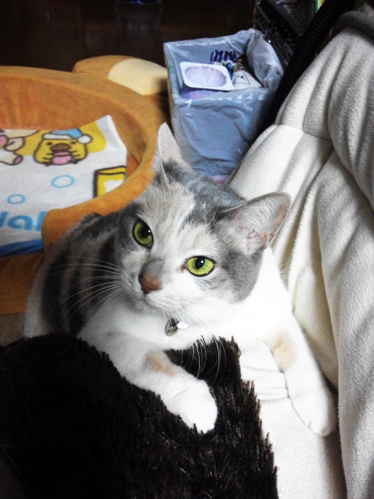 我が家のお姫様