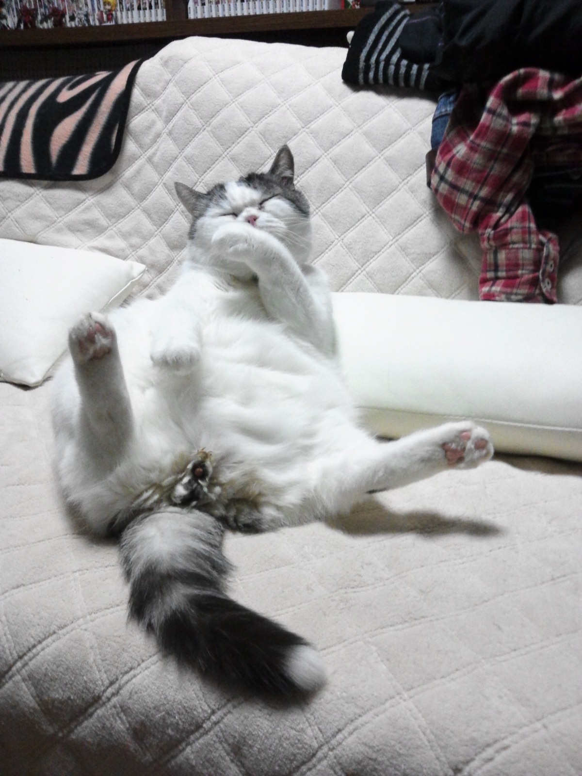 見えてるｗｗｗと大好評