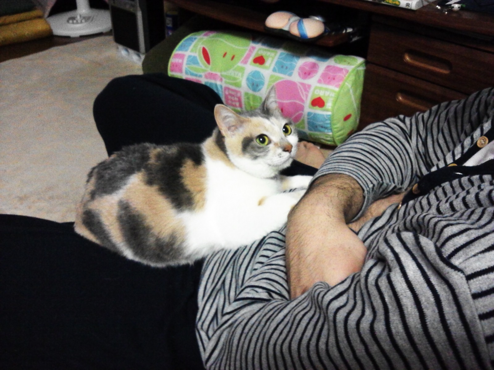 こいつも平気かも