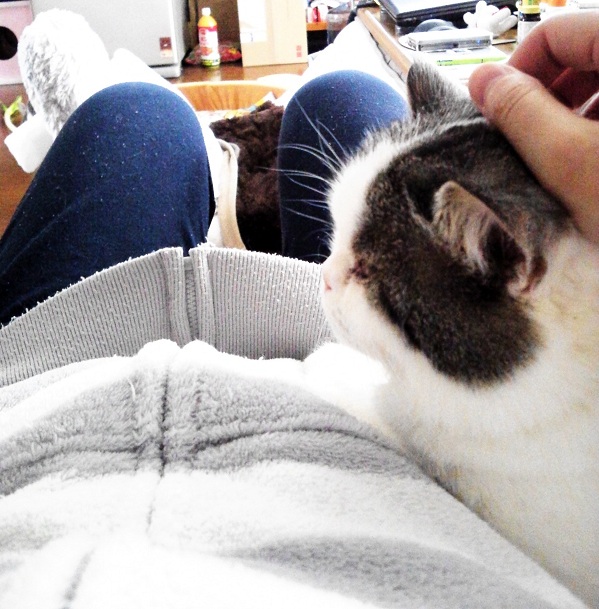 おなかのなかにいる