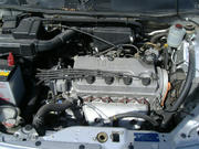8d08adf6.jpg