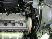 3900580f.jpg