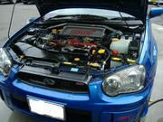 da166a5c.JPG