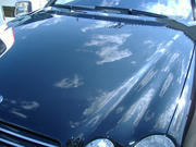 8a00d765.jpg