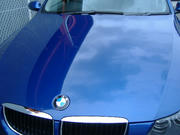 48990430.jpg