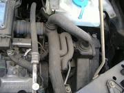 096b519a.jpg