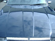 d94093f1.jpg