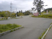 080511_1345~01.jpg