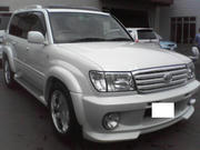 NEC_0278b.JPG