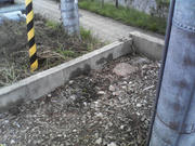 NEC_0296.jpg