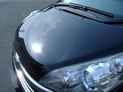 172036ec.jpg
