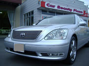485d207e.jpg
