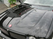 02b84e8d.jpg