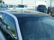 DSCF7462.JPG