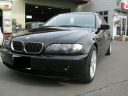 028e71ac.jpg