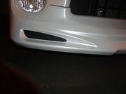 DSC01732.JPG