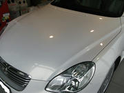 IMG_7875.JPG