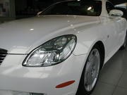 IMG_7876.JPG