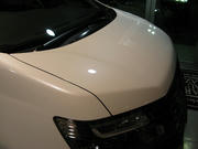 IMG_7906.JPG