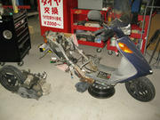 IMG_8817.JPG