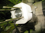 IMG_8839.JPG