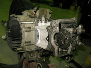 IMG_8842.JPG