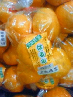 200902232231000.JPG
