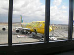 SANY0719.JPG