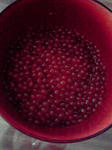 P1000058.jpg