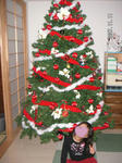 20071111_edited.jpg
