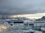 IMG_1460.jpg