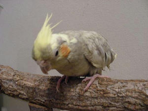 DSCN3654.JPG