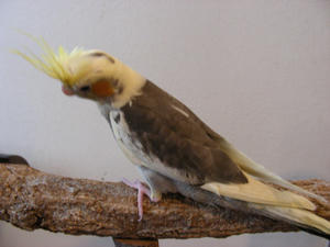 DSCN4292.JPG