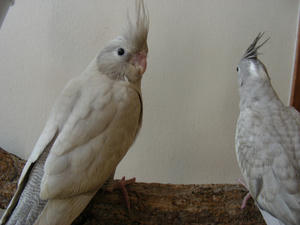 DSCN4272.JPG