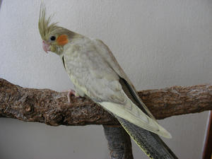 DSCN4279.JPG