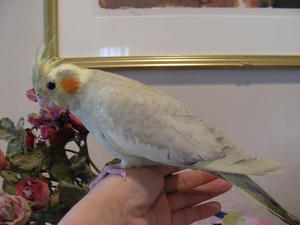DSCN1956.JPG