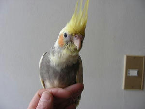 DSCN4322.JPG