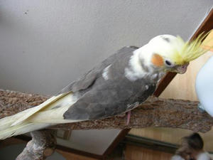 DSCN4323.JPG
