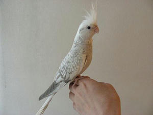 DSCN4495.JPG