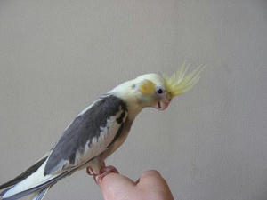 DSCN4518.JPG