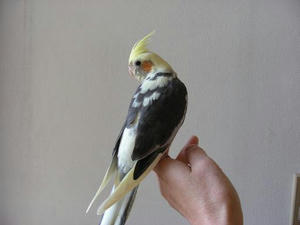DSCN4504.JPG