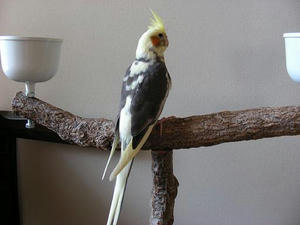 DSCN4511.JPG
