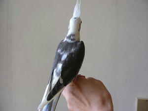 DSCN4516.JPG